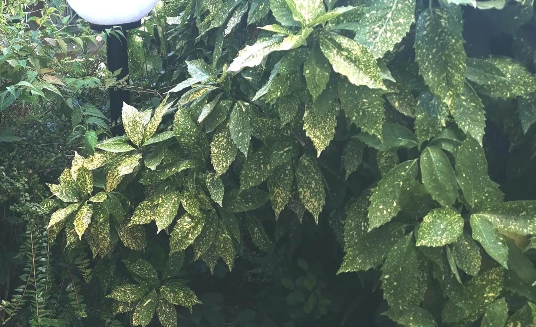 Secret Garden Apartment With Private Parking Space Opatija