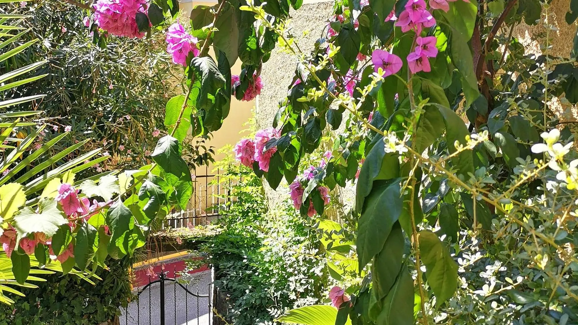 Secret Garden Apartment With Private Parking Space Opatija