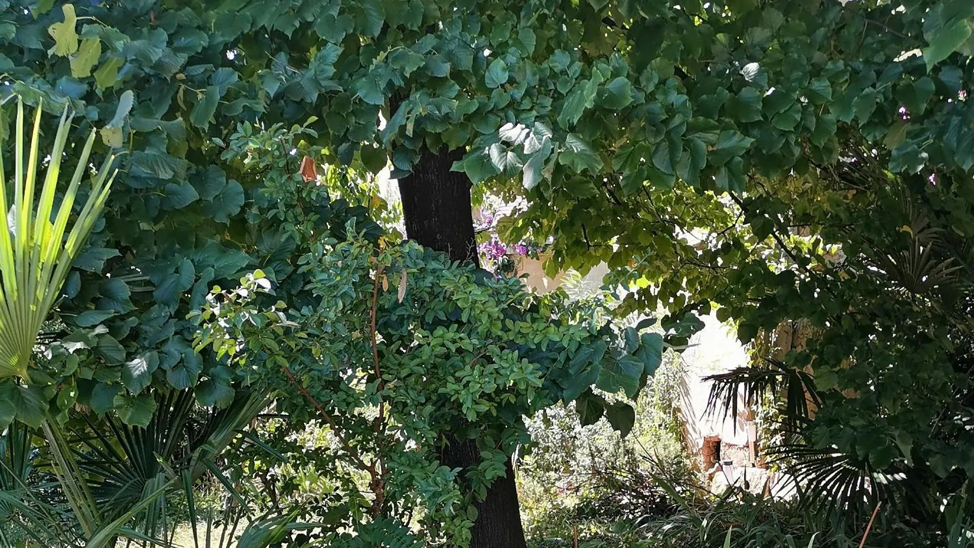 Secret Garden Apartment With Private Parking Space Opatija 0*,