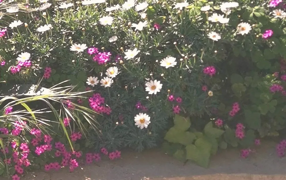 Secret Garden Apartment With Private Parking Space Opatija Croatia