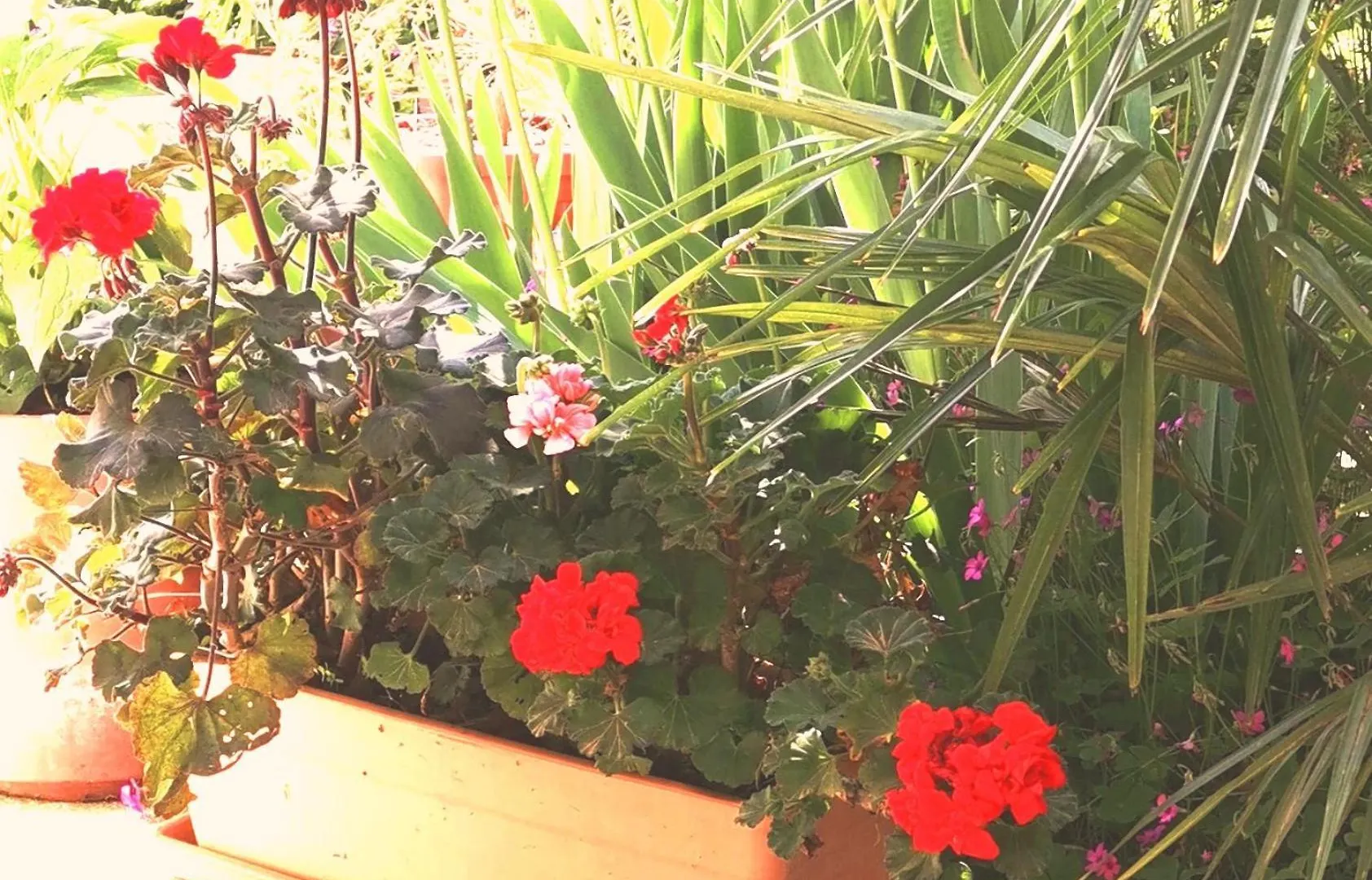 Secret Garden Apartment With Private Parking Space Opatija 0*,
